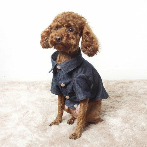 Promo β Betters Casual Denim π Shirt π 5 Betters Casual Denim Shirt