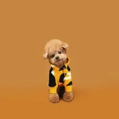 Huts And Bay CO Mustard Hoodie