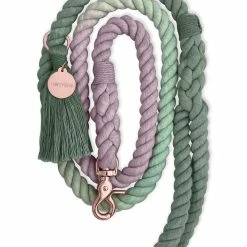 Notyers Coastal Leash Walk