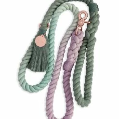 Notyers Coastal Leash Walk