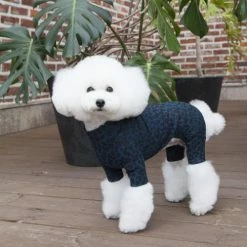 Dentists Appointment Wear Leopard Print Blue Onesie