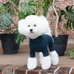 Dentists Appointment Wear Leopard Print Blue Onesie