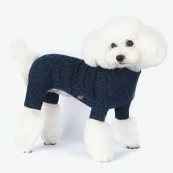 Dentists Appointment Wear Leopard Print Blue Onesie