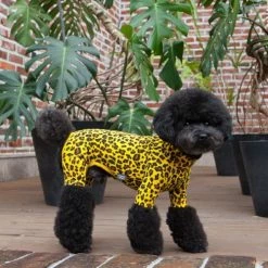 Dentists Appointment Wear Leopard Print Yellow Onesie