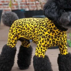 Dentists Appointment Wear Leopard Print Yellow Onesie