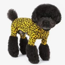 Dentists Appointment Wear Leopard Print Yellow Onesie