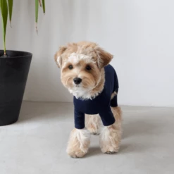 Dentists Appointment Body Warm All-In-One Navy