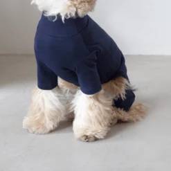 Dentists Appointment Body Warm All-In-One Navy