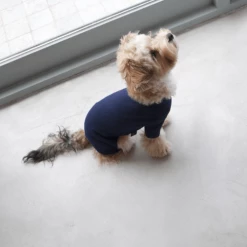 Dentists Appointment Body Warm All-In-One Navy