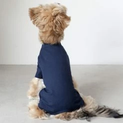 Dentists Appointment Body Warm All-In-One Navy