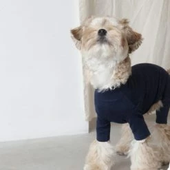 Dentists Appointment Body Warm All-In-One Navy