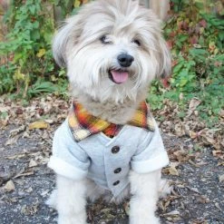 Dog Threads Campus Cardi Wear