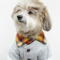 Dog Threads Campus Cardi Wear
