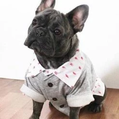 Dog Threads Campus Cardi Wear