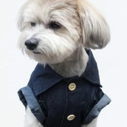 Dog Threads Canadian Tuxedo Shirt Wear