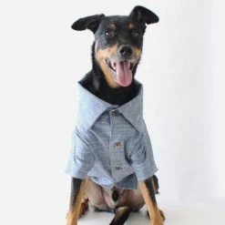 Dog Threads Chambray Button Down