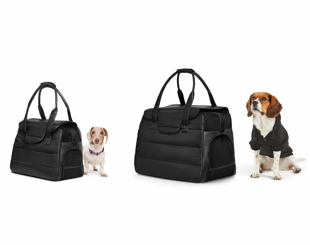Cheapest ๐ Just Fred Destination ๐ถ Dog Tote - Ltd Edition Carry ๐ 6 Just Fred Destination Dog Tote - Ltd Edition Carry