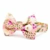 The Foggy Dog Harper Floral Bow Tie Collar