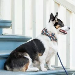 The Foggy Dog Inky Blooms Bow Tie Collar Style