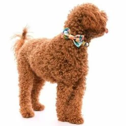 Brand new 😉 The Foggy 🐕 Dog Wildflower Bow Tie Style 🎉 7 The Foggy Dog Wildflower Bow Tie Style
