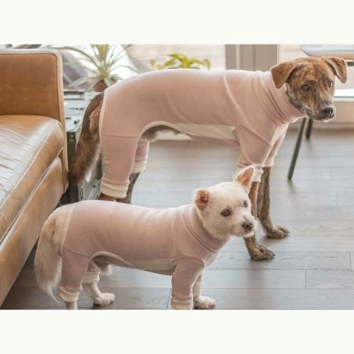 Cheap β The Furryfolks High Neck Jumpsuit Blush π 5 The Furryfolks High Neck Jumpsuit Blush