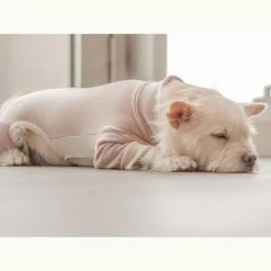 Cheap β The Furryfolks High Neck Jumpsuit Blush π 11 The Furryfolks High Neck Jumpsuit Blush