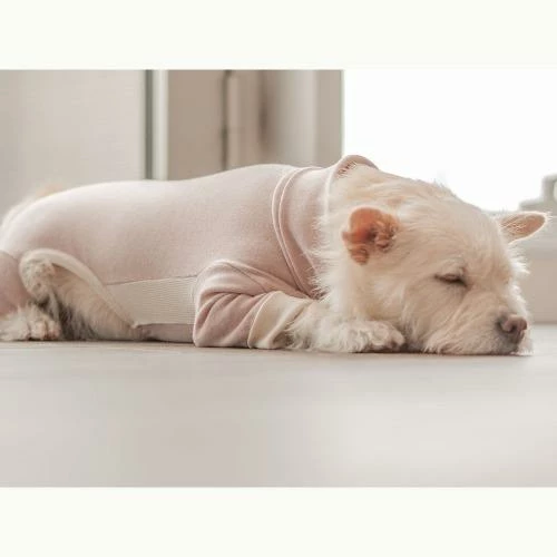 Cheap β The Furryfolks High Neck Jumpsuit Blush π 7 The Furryfolks High Neck Jumpsuit Blush