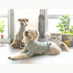 The Furryfolks High V-Neck Tee Sage
