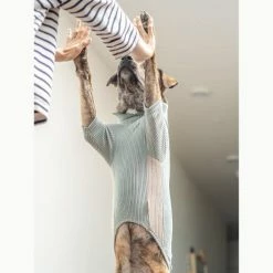 The Furryfolks High V-Neck Tee Sage