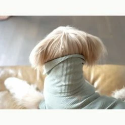 The Furryfolks High V-Neck Tee Sage