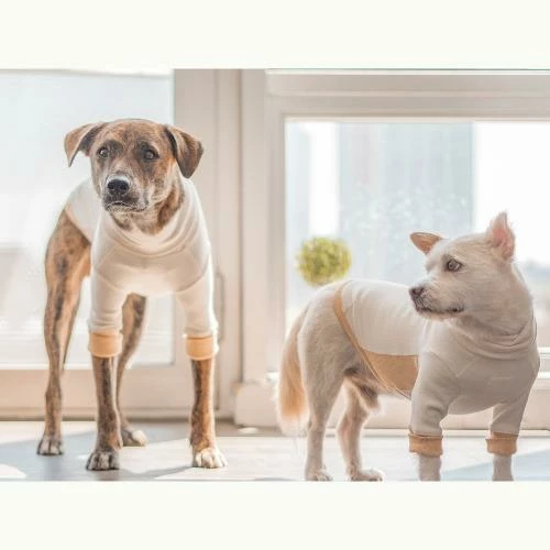 Outlet π The Furryfolks High Neck Tee Yellow π 3 The Furryfolks High Neck Tee Yellow