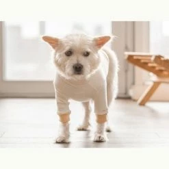 The Furryfolks High Neck Tee Yellow