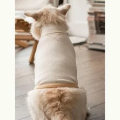 Outlet π The Furryfolks High Neck Tee Yellow π 12 The Furryfolks High Neck Tee Yellow