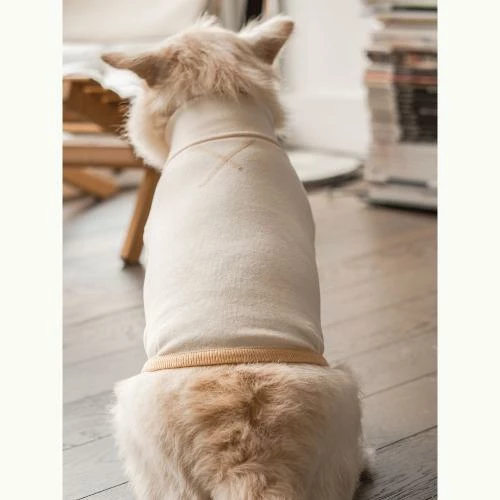 Outlet π The Furryfolks High Neck Tee Yellow π 7 The Furryfolks High Neck Tee Yellow