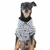 Dog Threads Gingham For Gentle Giants