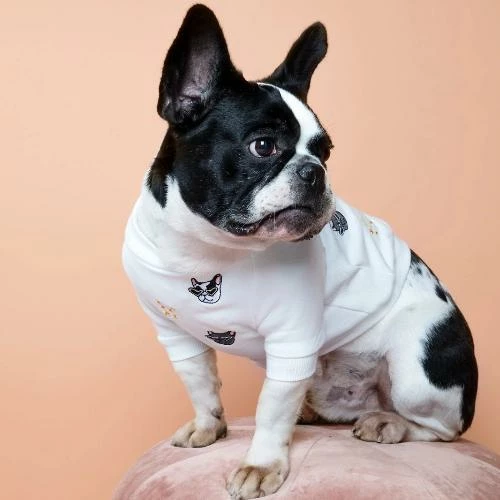 Brand new π Gnocchi And Goma GG X Fine Frenchie Sweater Wear π 4 Gnocchi And Goma GG X Fine Frenchie Sweater Wear