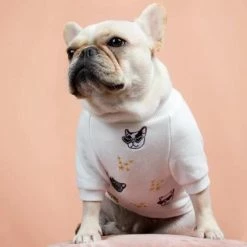 Brand new π Gnocchi And Goma GG X Fine Frenchie Sweater Wear π 11 Gnocchi And Goma GG X Fine Frenchie Sweater Wear