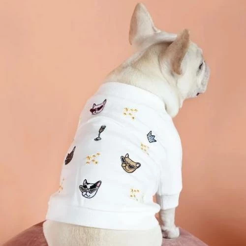 Brand new π Gnocchi And Goma GG X Fine Frenchie Sweater Wear π 3 Gnocchi And Goma GG X Fine Frenchie Sweater Wear