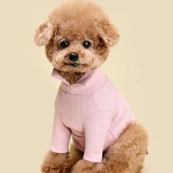 Huts And Bay Collar Knit Top Pink