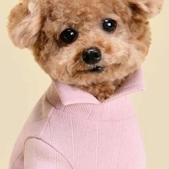 Huts And Bay Collar Knit Top Pink