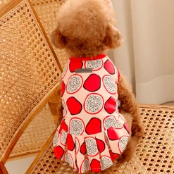 Huts And Bay Dragonfruit Dress Wear