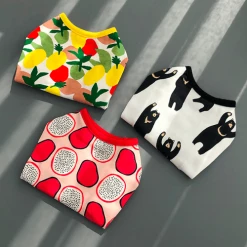 Huts And Bay Dragonfruit T-Shirt Wear