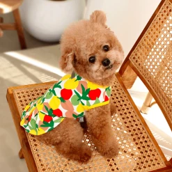 Huts And Bay Wear Lemon Dress