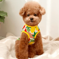 Huts And Bay Wear Lemon Dress