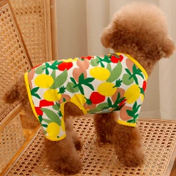 Huts And Bay Lemon Onesie Wear