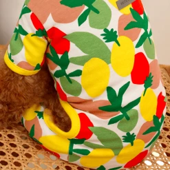 Huts And Bay Lemon Onesie Wear