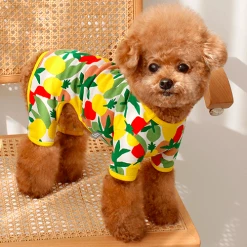 Huts And Bay Lemon Onesie Wear