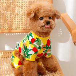 Huts And Bay Lemon Onesie Wear