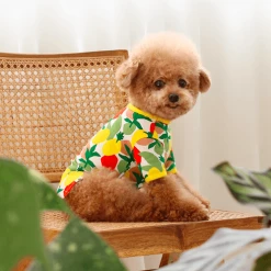 Huts And Bay Lemon T-Shirt