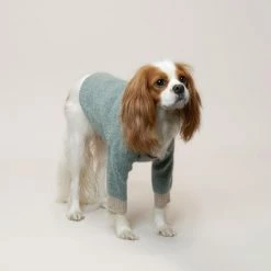 Howlpot Wear Shawl Blue Green Sweater